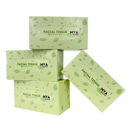 Facial Tissues (200 sheets)