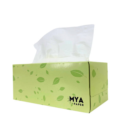 Facial Tissues (200 sheets)